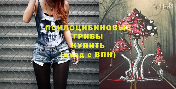 шишки Абинск