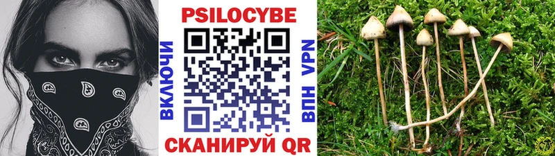 OMG tor Губкин Галлюциногенные грибы мицелий
