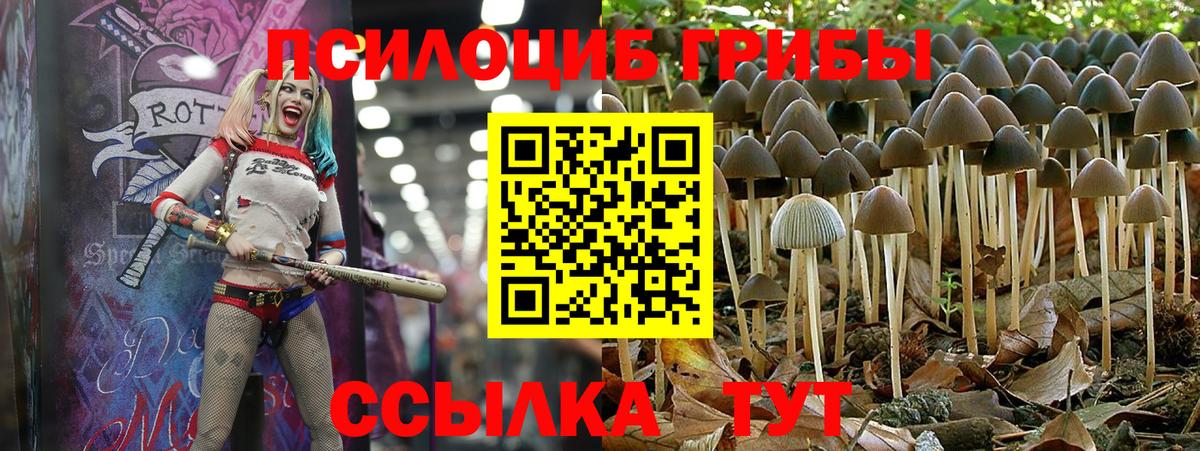 Псилоцибиновые грибы Magic Shrooms  Вход с VPN  Губкин 